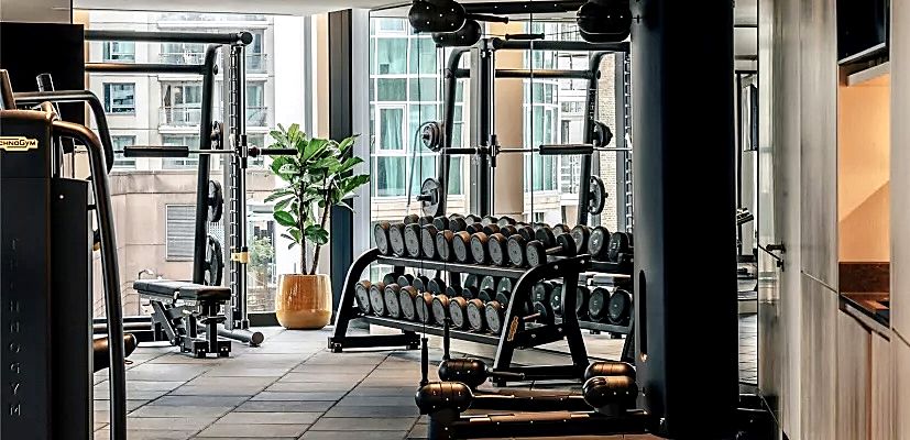 Private residence gym with dumbbell rack and squat rig